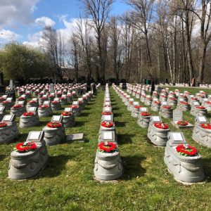 В Общественной палате подвели итоги мониторинга наиболее проблемных, по мнению горожан, воинских захоронений в Санкт-Петербурге