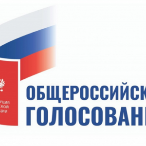 Владимир Шамахов, Маргарита Урманчеева, Александр Борисов и Владимир Дербин приняли участие в общероссийском голосовании