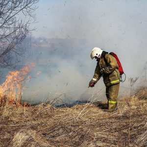 С сегодняшнего дня в Петербурге устанавливается особый противопожарный режим