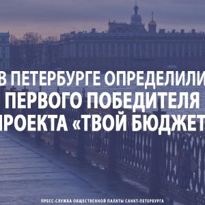 В Петербурге определили первого победителя проекта «Твой бюджет»