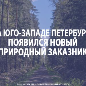 На юго-западе Петербурга появился новый природный заказник