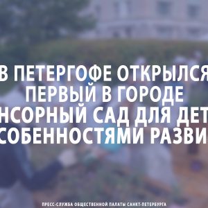 В Петергофе открылся первый в городе сенсорный сад для детей с особенностями развития