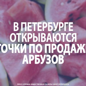 В Петербурге открываются точки по продаже арбузов